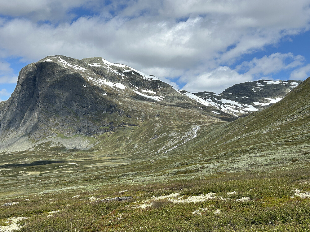 Frem hit synes jeg turen var fin, men herfra ble det en del vierkratt som kan ses på bildet, noe jeg ikke liker å gå i. Fant ut at jeg ville finne en annen retur. Jeg har sett flere turbeskrivelser med bestigning av østflanken av Nørdre Skålanuten der det er en del snøflekker. Jeg fant ut at jeg ikke ønsket den varianten i tilfelle det var for bratt og bestemte meg her heller for å gå opp i dalen litt til høyre i bildet mot Hestebottnuten.