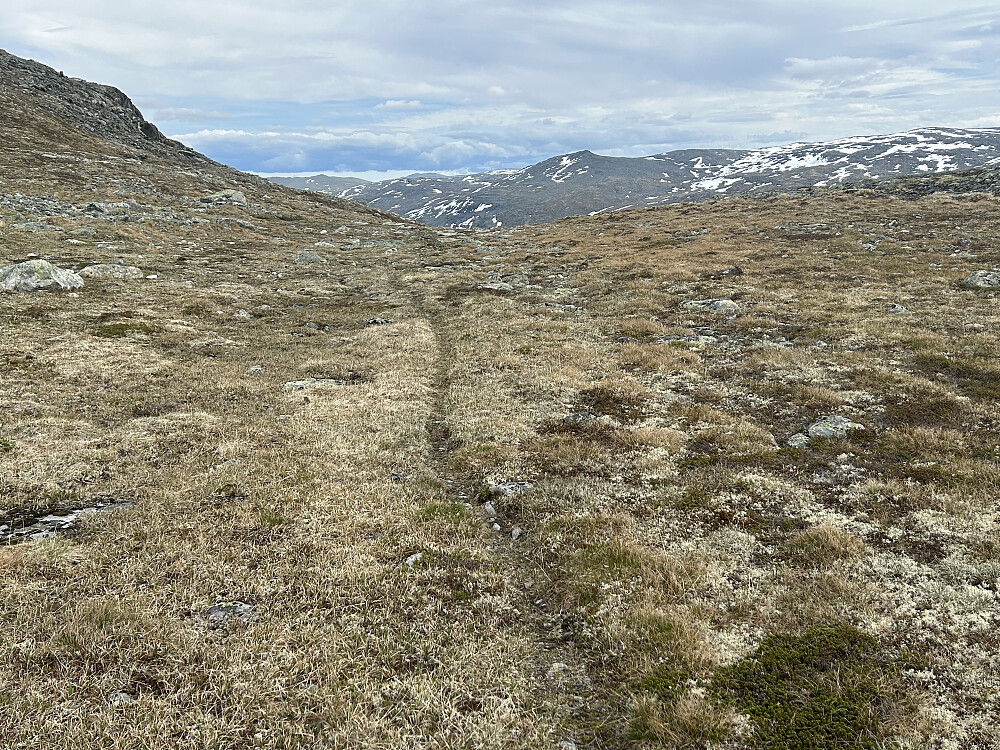 Fin retur jeg valgte. Lettgått, også nedover i Uksebotn.