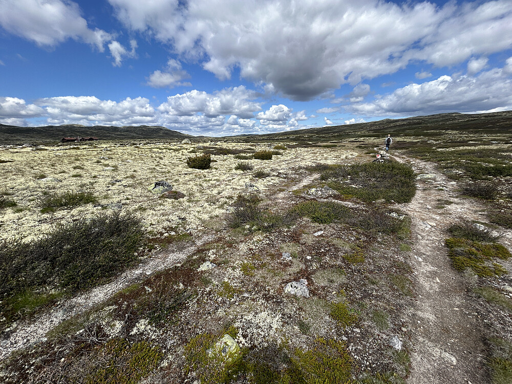 Her er vi på stien mellom de to turisthyttene rett etter turstart. Vi bodde på turistforenings hytte, mens Mårbu Seter- og Fjellstue kan skimtes til venstre i dette bildet.