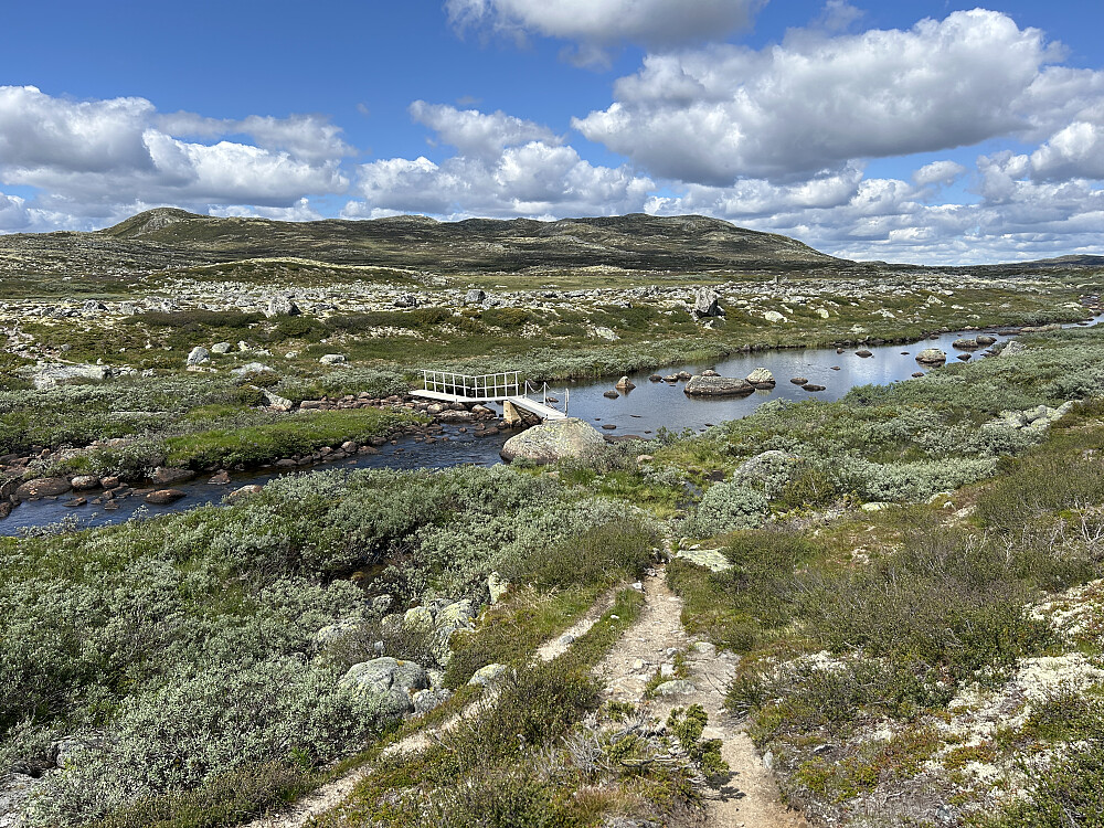 Over Skjorteåe med Kosadalsbrotet (1386 moh og pf=94) i bakgrunnen.