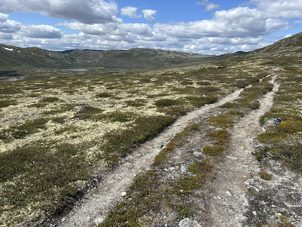 Fortsatt lettgått sti med dagens første turmål, Kosadalsnutan på 1420 moh, midt i bildet.