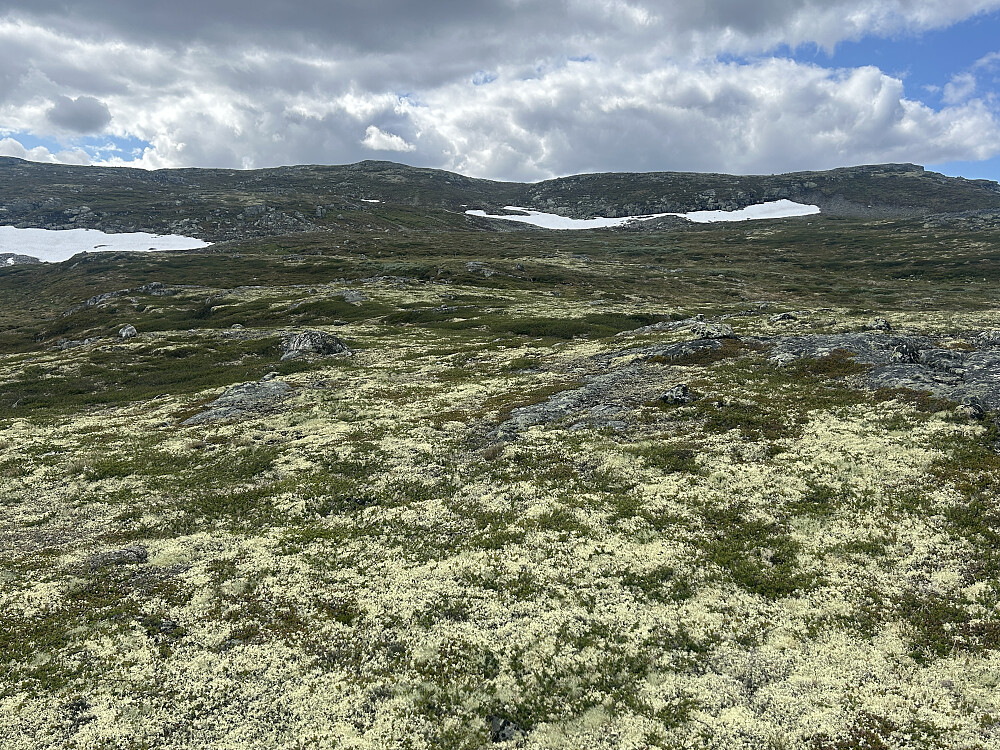 Fint å gå opp mot Kosadalsnuten.