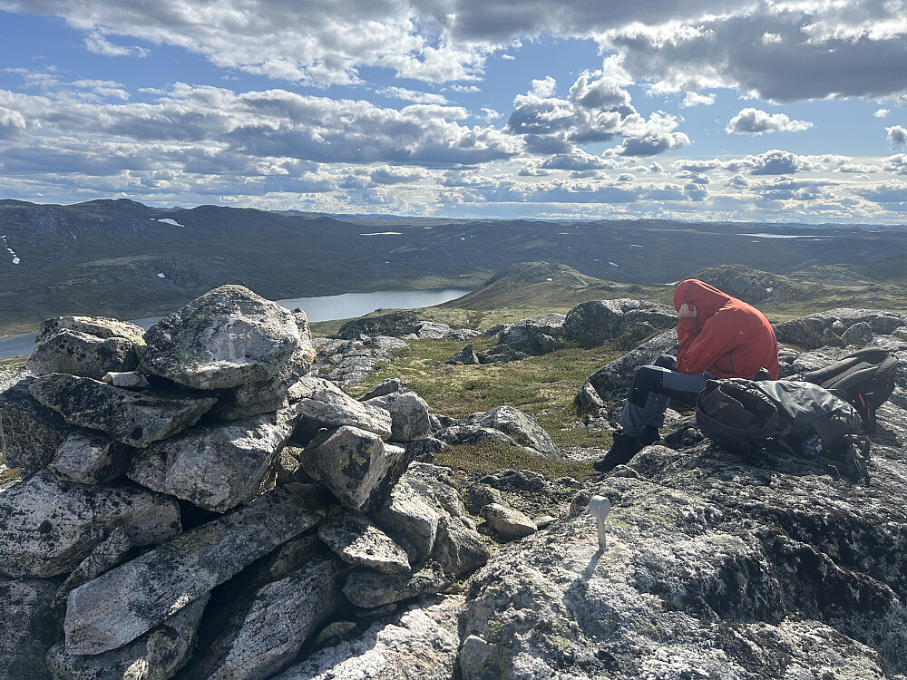 Det var grusomt mye mygg på toppen av Austre Hettehovet og ikke noe trivelig å være til tross for utmerket utsikt. Vegard beskyttet seg med en hette på hodet.