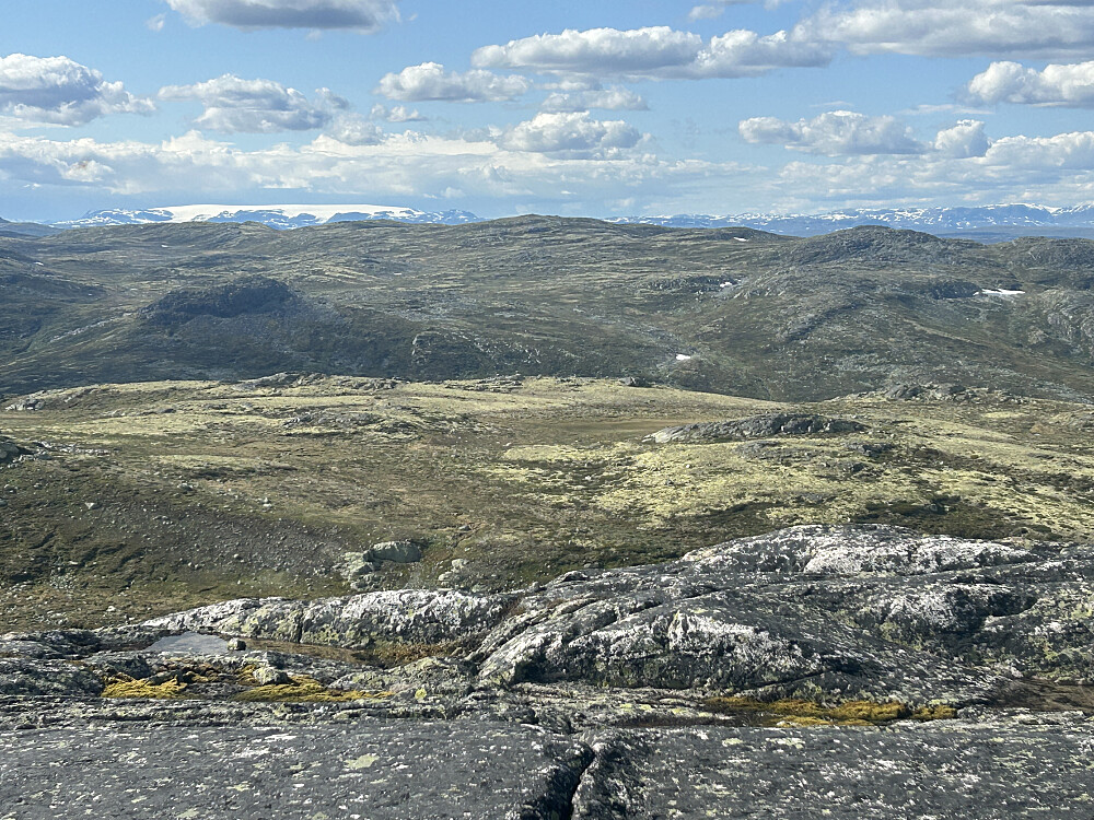 Utsikt fra Austre Hettehovet mot Hardangerjøkulen til venstre og Hallingskarvet til høyre. Midt i mellom ligger Kosadalsnuten hvor vi var for knapt to timer siden.