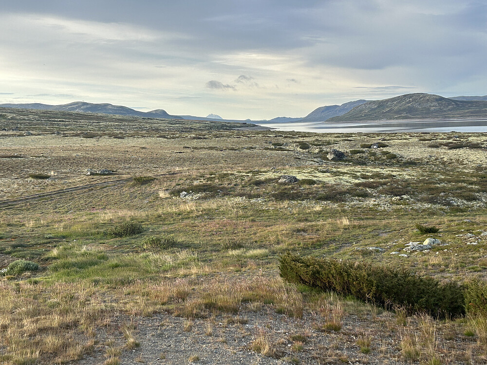 Morgenstemning ved Mårbu kl. 06:15 med utsikt sørover mot Gaustatoppen.