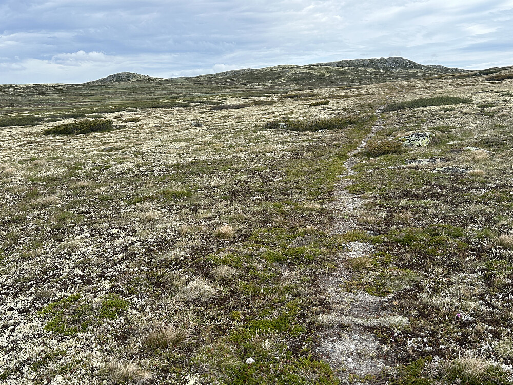 Veldig fin sti å gå på synes jeg, og stien leder rett mot Skjortevarden som ble dagens første turmål.