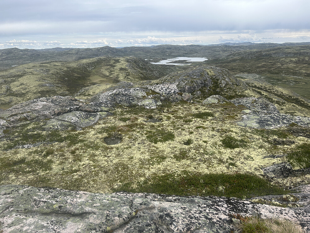 Utsikt østover fra Breidhovd. Vannet heter Halstjønn, 1190 moh.