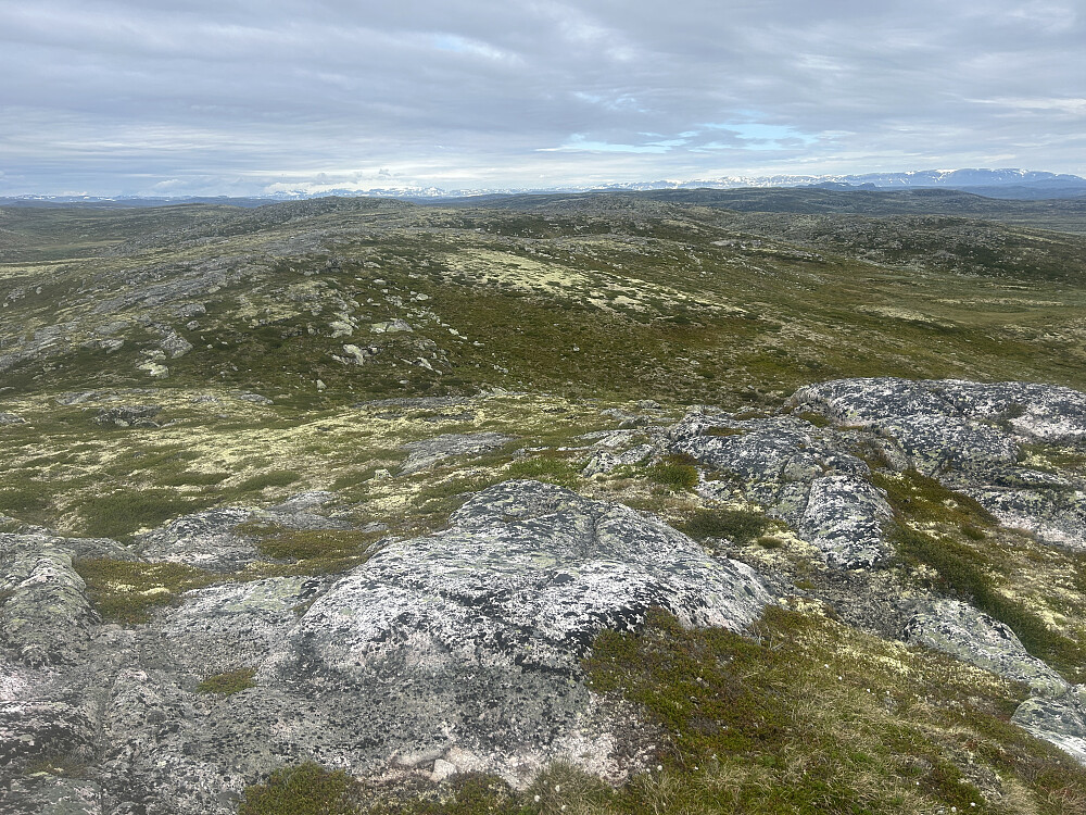 Utsikt nordvestover fra Breidhovd, med Hardangerjøkulen og Hallingskarvet langt borte.