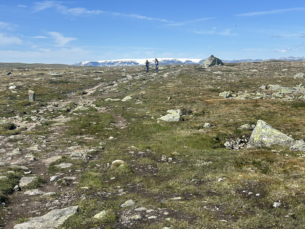 Slentrende ungdommer med Hardangerjøkulen i bakgrunnen.