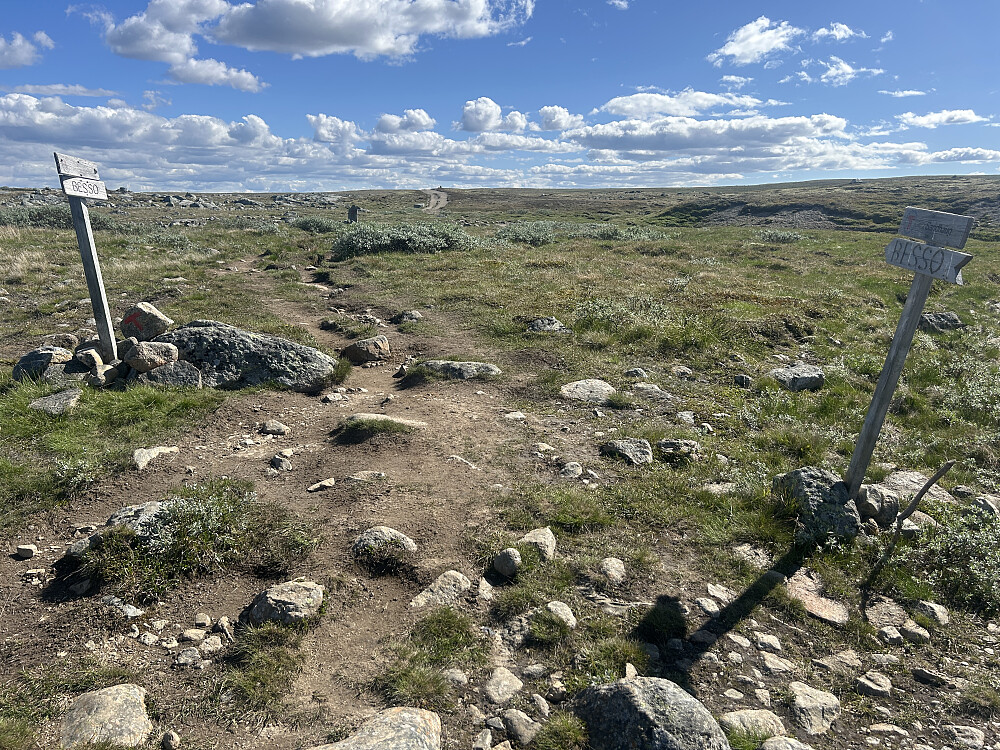 Her tok vi til høyre og fulgte heller traktorveien mot Sandhaug. Baktanken var at jeg ville oppom Trondavadnutane.