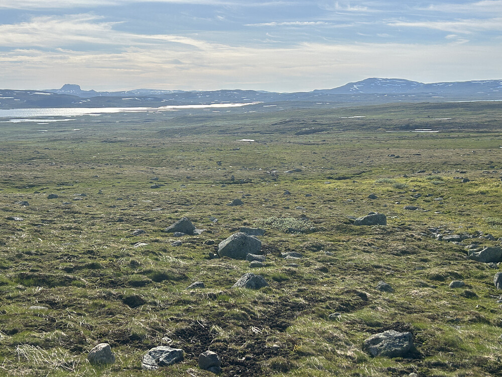 Både Hårteigen og Store Grananutane med sine over 1600 moh ser jo mer staselige ut enn de småtoppene jeg har planer for.