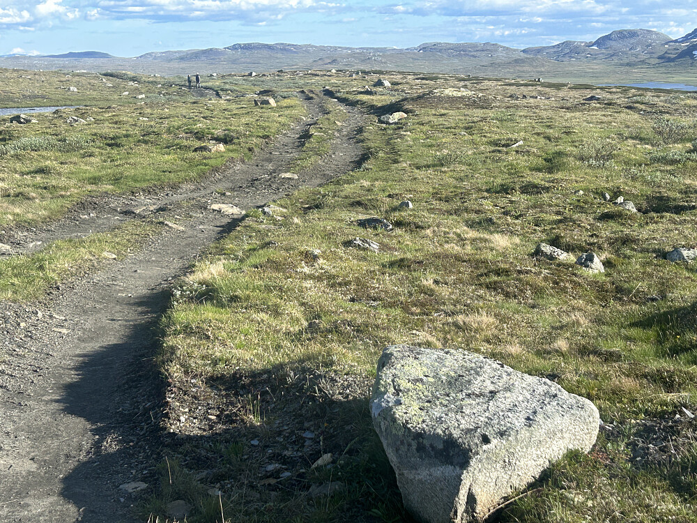 Traktorveien frem til Sandhaug.