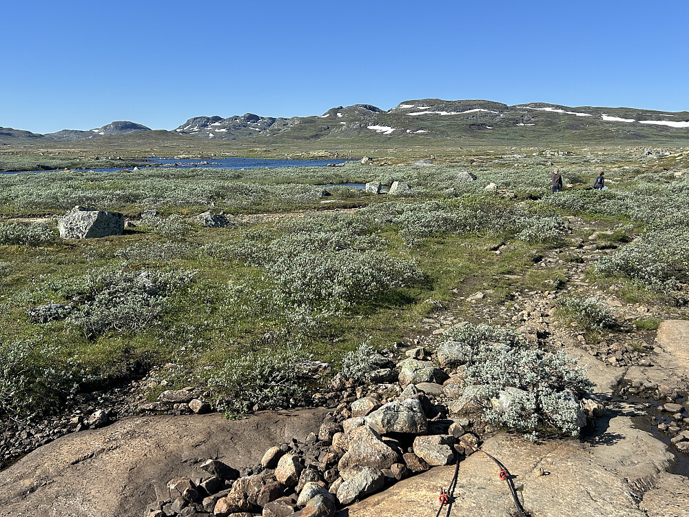 Utsikt mot Lakadalsberga, og turfølget mitt er fortsatt med.