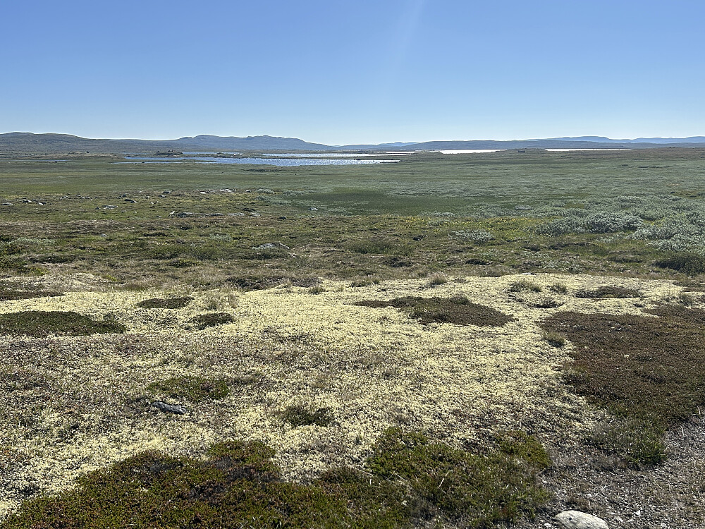 Her er jeg på tur alene, men virkelig deilig å gå her.