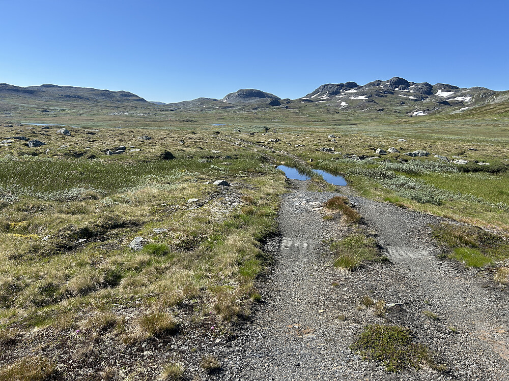 Helt grei traktorvei å gå på med Lakadalsberga til høyre i bildet.