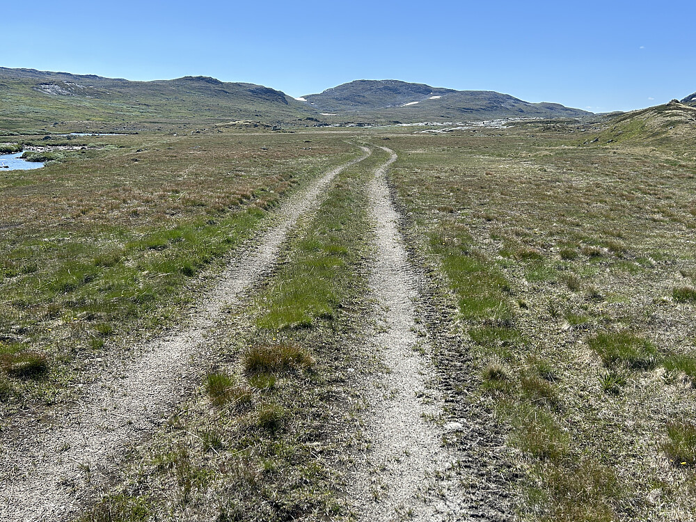 Lettgått traktorvei som jeg forlater litt lengre framme, og går opp i skaret omtrent midt i bildet hvor det er en snøfonn.