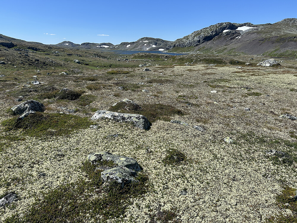 Fint terreng å gå i selv uten stier.