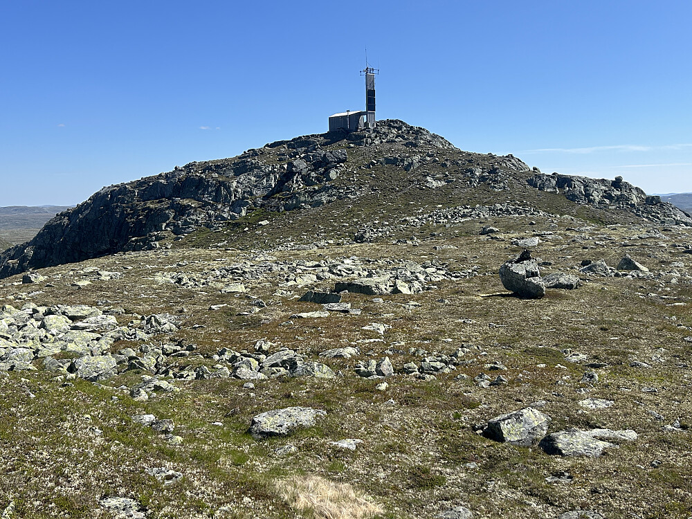 Blyvarden, 1445 moh.