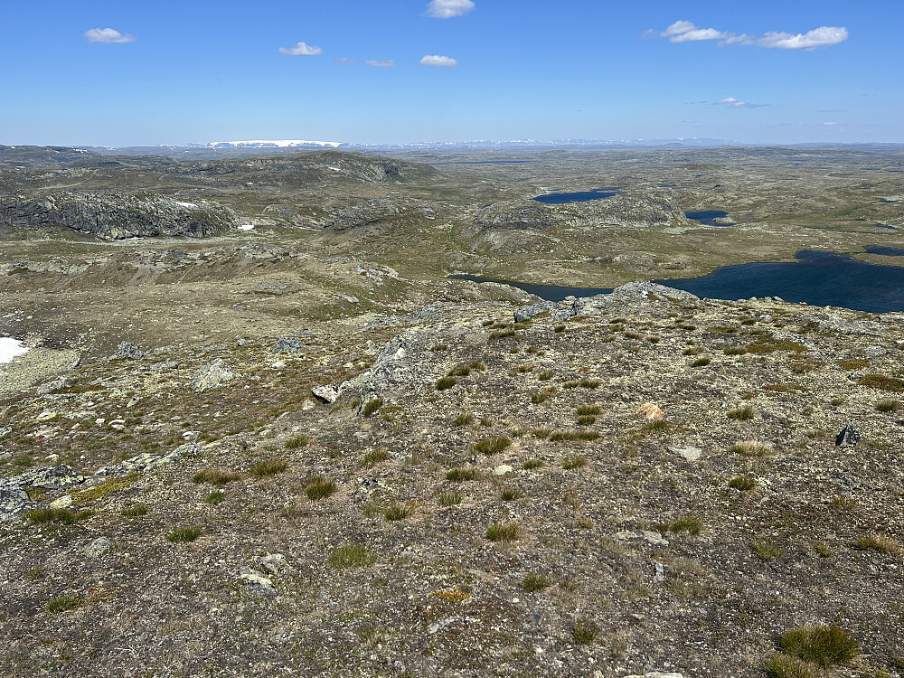 Utsikt fra Blyvarden mot Hardangerjøkulen.