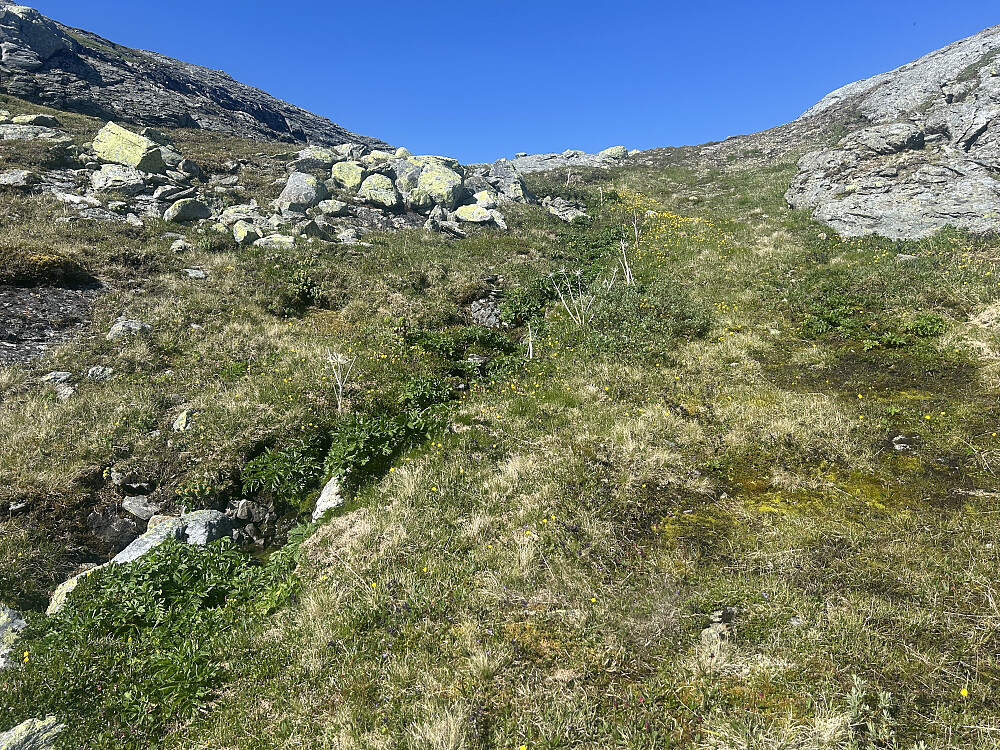 Et frodig område på vei mot Lakadalsberga.