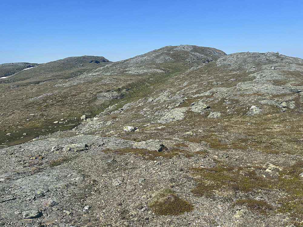 De ganske jevnhøye toppene på Lakadalsberga.