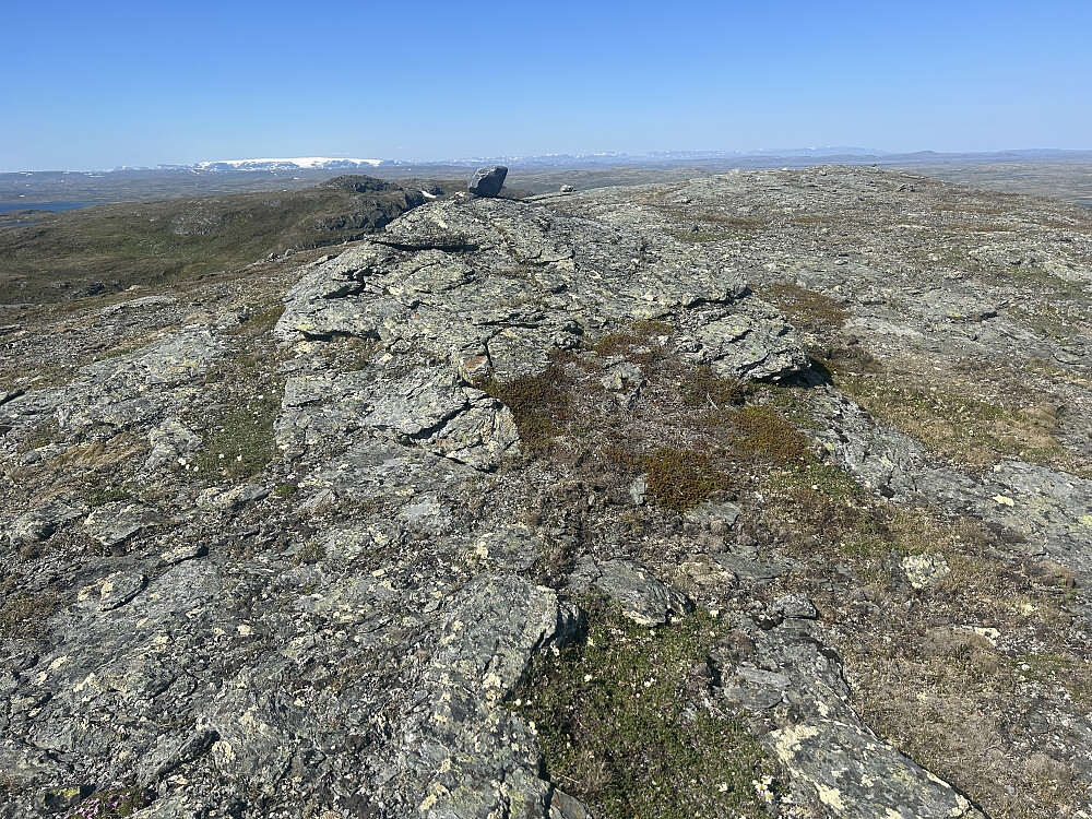 Jeg tror det er denne steinen som er toppunktet på Lakadalsberga.