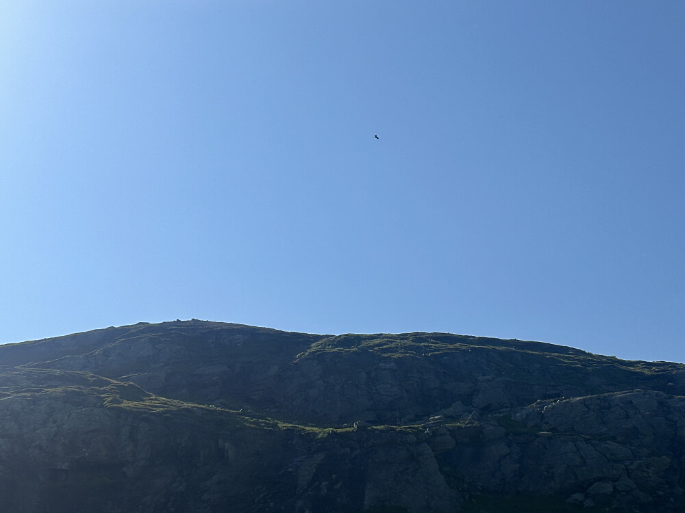 Tok bildet pga en liten rovfugl. Kanskje fjellvåk?