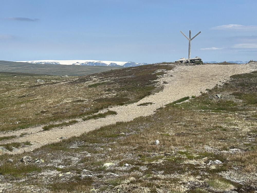 Hardangerjøkulen.