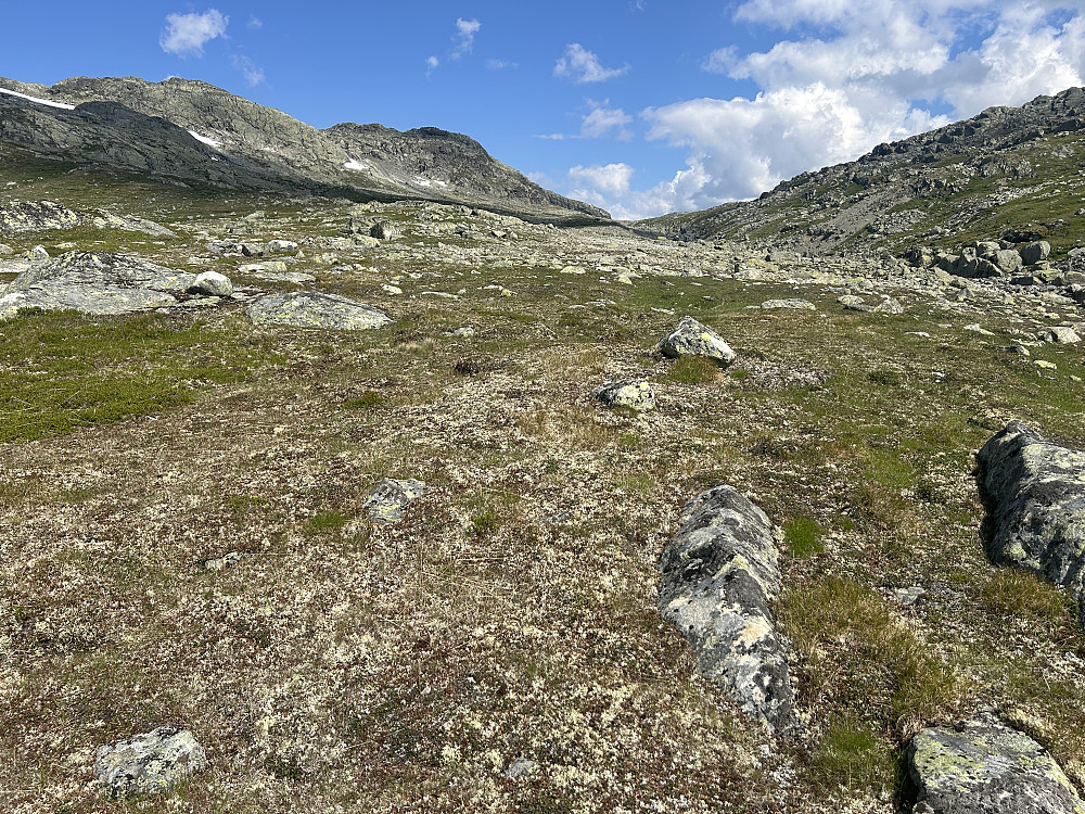 Fint terreng å gå i oppover Mjolgedalen.