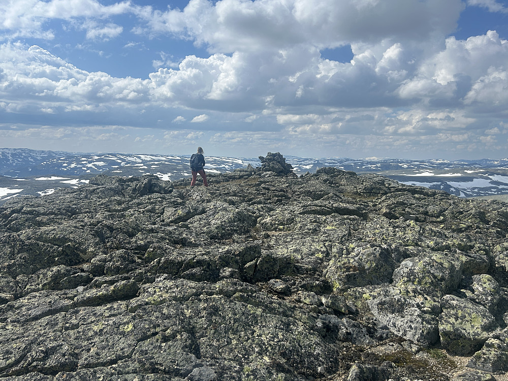 Kriss i godt driv mot Skilpadden i Skarvheimen. Med litt fantasi fant vi ut at toppvarden på Gråhyrneran lignet på en skilpadde:-)