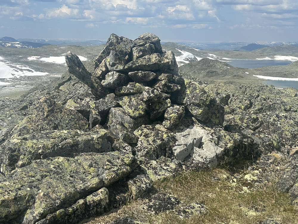 Og her kan det tydelig ses at skilpadden har stukket hodet langt ut av skallet:-)