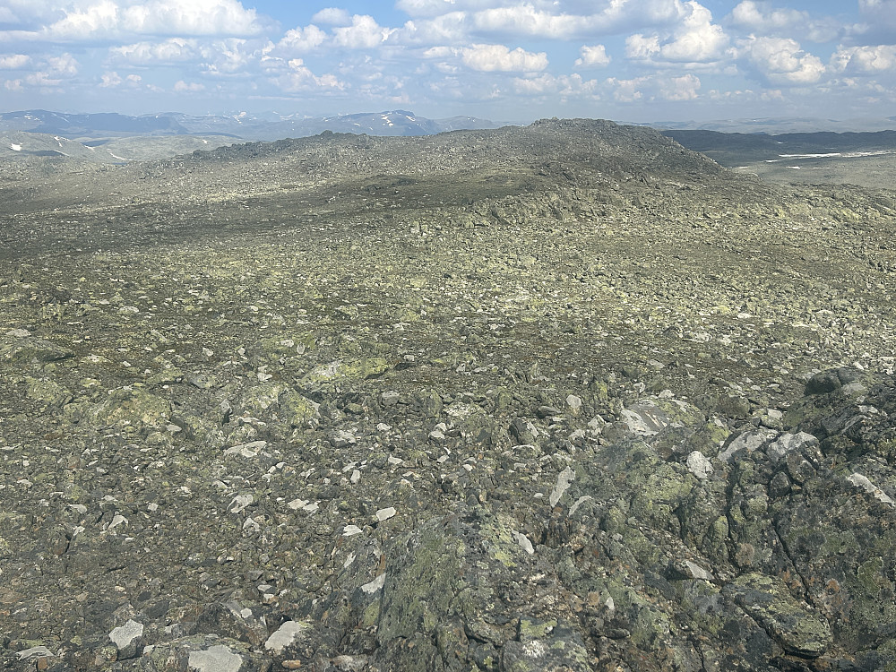 Knausen 270 meter der borte er Gråhyrneran Nordøst. Etter mine beregninger er den 1773,2 mot 1773,6 for hovedtoppen. Såpass liten forskjell at jeg sikkert kunne ha vaset litt mer rundt i området for å være sikker på at jeg besøkte høyeste punkt. Sånt er viktig for pb'ere må vite:-)