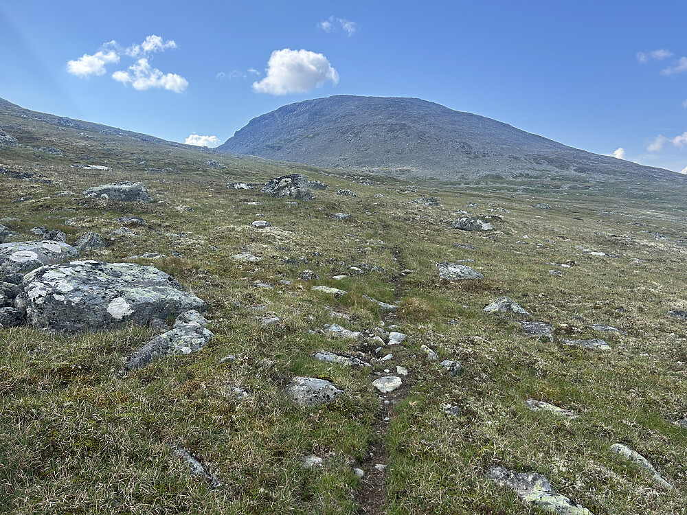 Fossebrea på 1664 moh, høyeste toppen i området vi besøkte for noen uker siden.