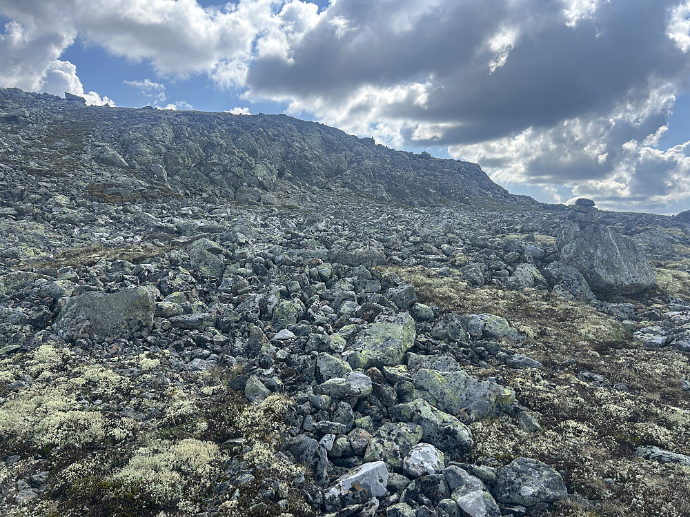 Varde på en stein, men ikke så mye sti.