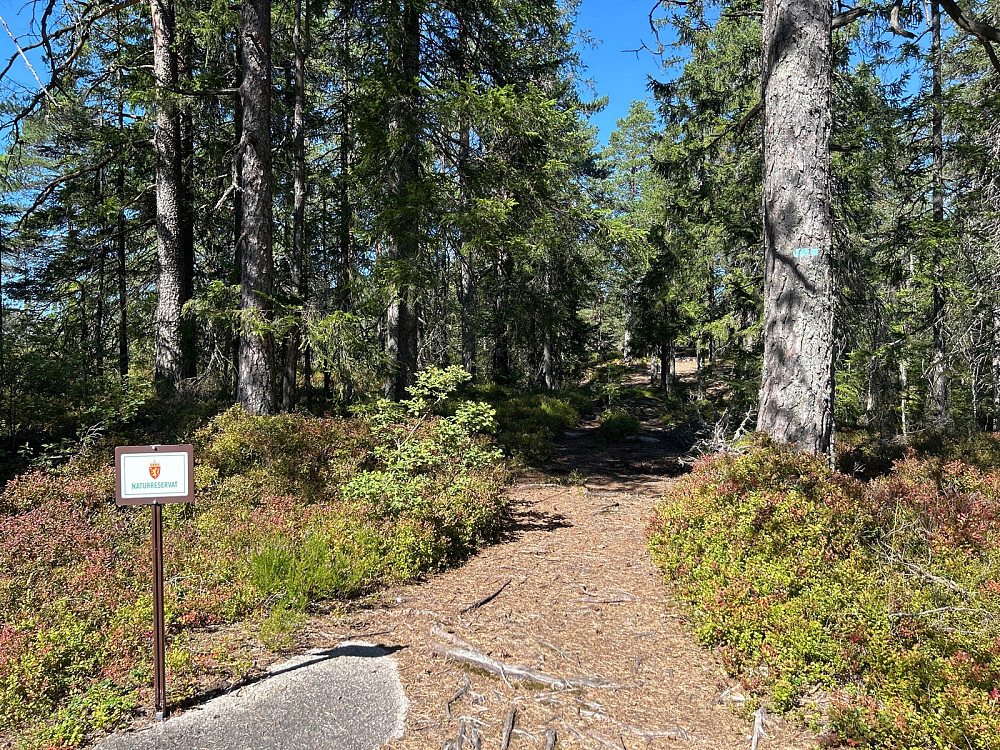 Det er et naturreservat rundt Brennåsen i Kjekstadmarka.