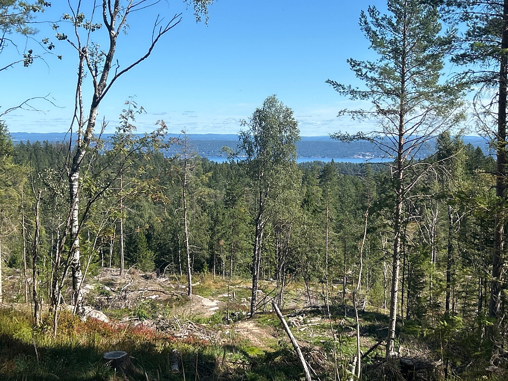 Fjordgløtt til Oslofjorden.