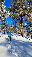 Marimor_20230219_63f23b3410513.jpg