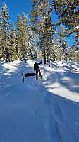 Marimor_20230219_63f23b42e9fcd.jpg