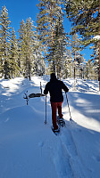 Marimor_20230219_63f23b4a25ee2.jpg