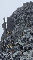 Marimor_20230705_64a5cb6034aa5.jpg