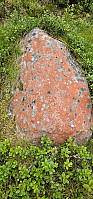 Marimor_20240807_66b39ca94a00b.jpg