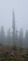Marimor_20240904_66d88f622d575.jpg