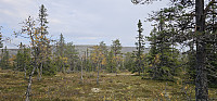 Marimor_20240908_66dda510dac49.jpg