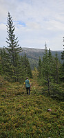 Marimor_20240908_66dda5115c976.jpg