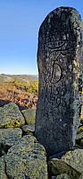 Marimor_20241116_673878dbd9fe4.jpg