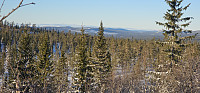 Marimor_20250111_67826f702b8d4.jpg