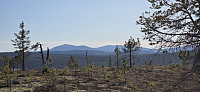 Marimor_20250519_682b697772571.jpg