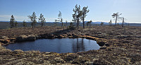 Marimor_20250519_682b6977e1eca.jpg