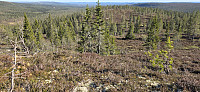 Marimor_20250519_682b6978d2c1d.jpg