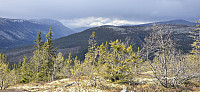 Marimor_20250528_68372bb540fa5.jpg
